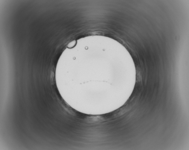 X0000111420427200908241136