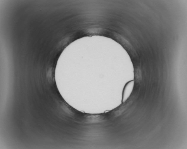 X0000111420428200908241136