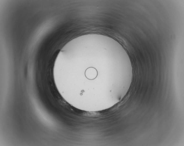 X0000111420429200908241136
