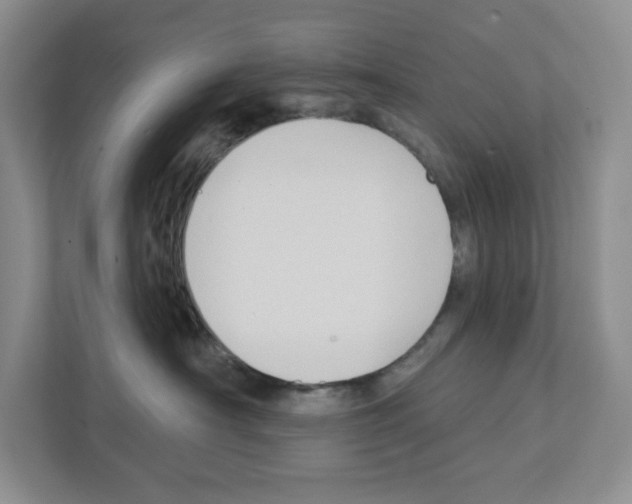 X0000111420430200908241136