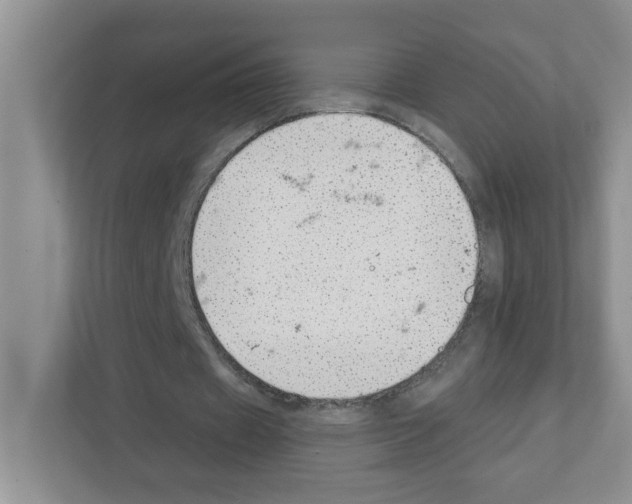 X0000111420433200908241135