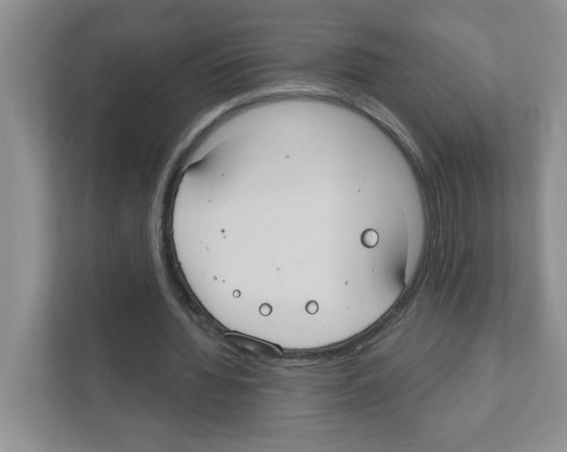 X0000111420436200908241135