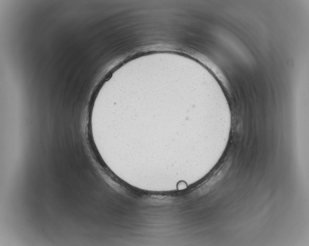 X0000111420437200908241135