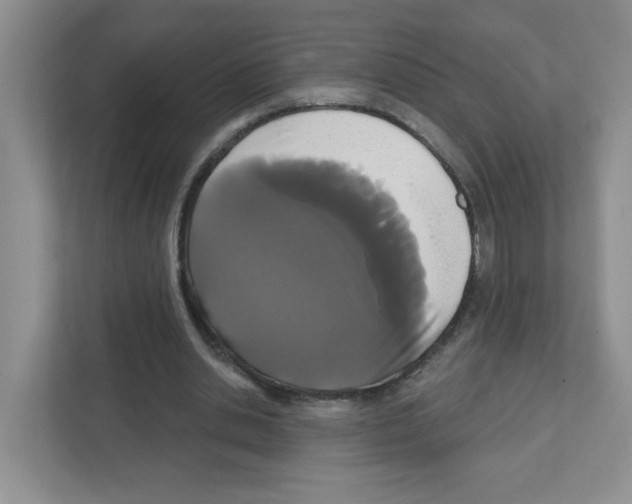 X0000111420438200908241135