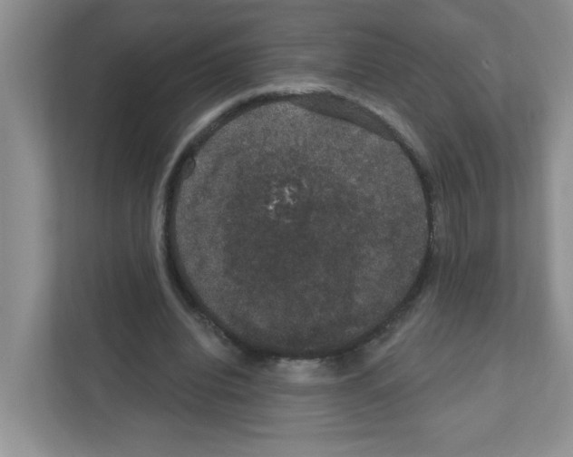 X0000111420440200908241135