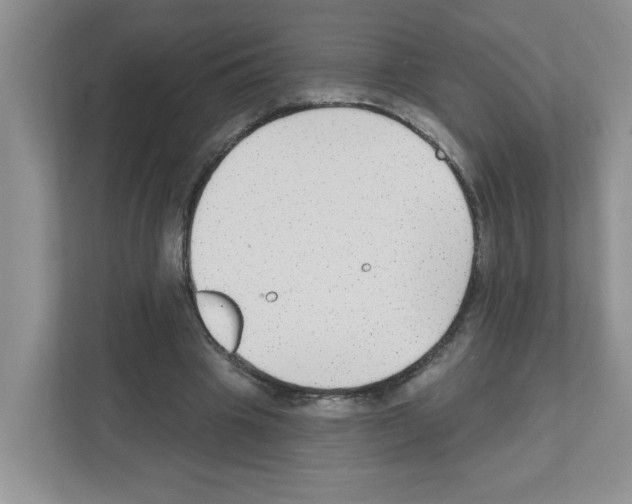 X0000111420441200908241135