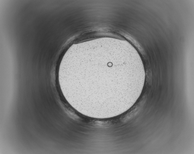 X0000111420442200908241135