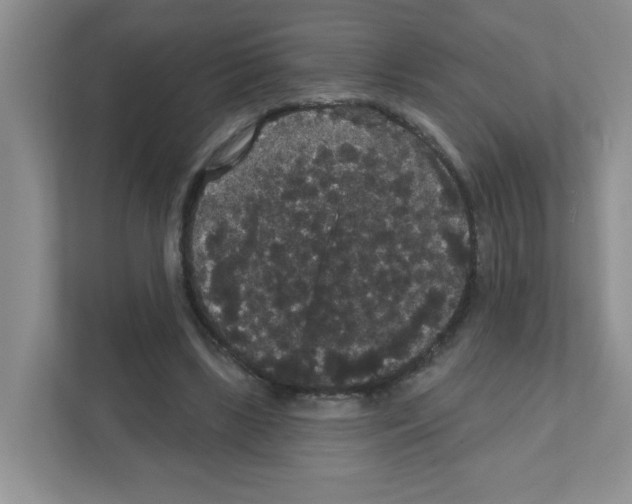 X0000111420443200908241135