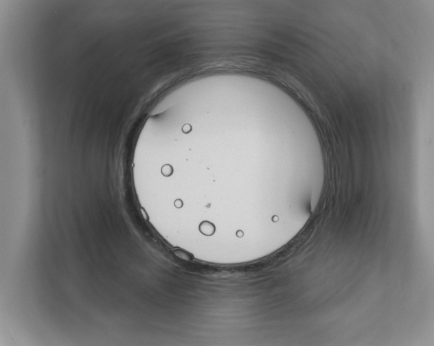 X0000111420444200908241135