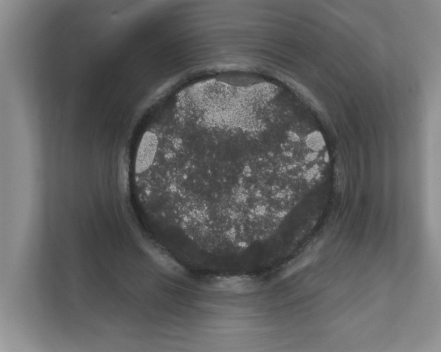 X0000111420446200908241135