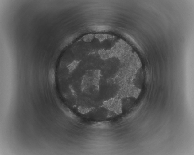 X0000111420447200908241135