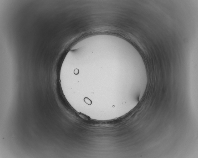 X0000111420448200908241135