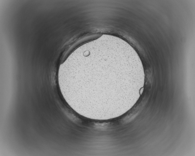 X0000111420450200908241135