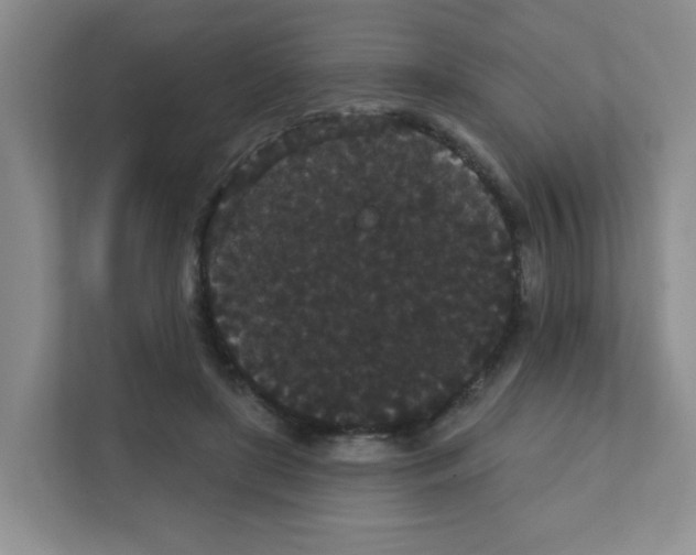 X0000111420451200908241135