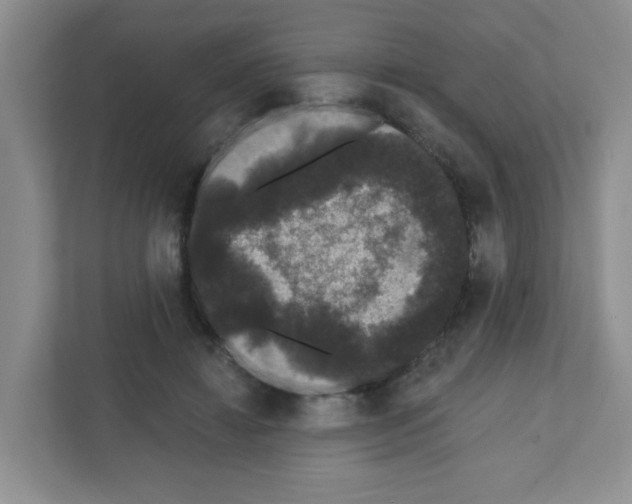 X0000111420452200908241135