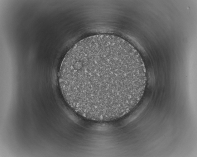 X0000111420453200908241135