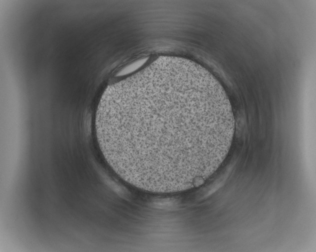 X0000111420454200908241135