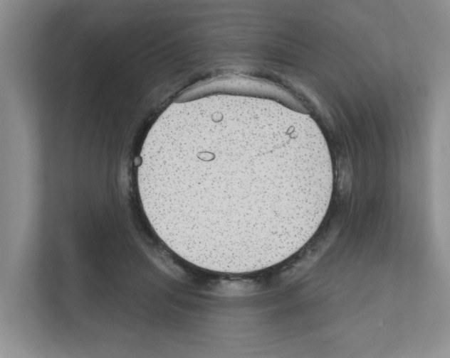 X0000111420455200908241135
