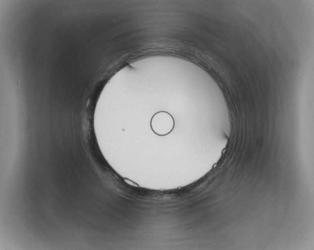 X0000111420456200908241135