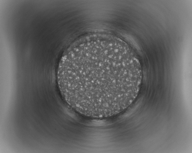 X0000111420457200908241135
