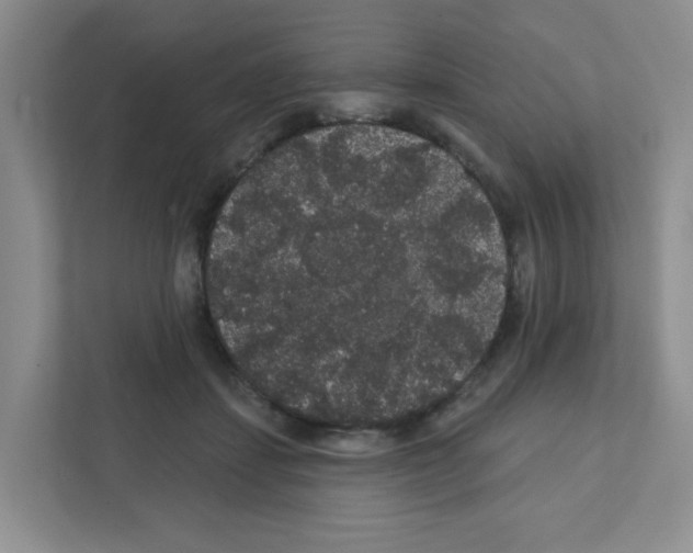 X0000111420459200908241135