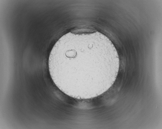 X0000111420461200908241135