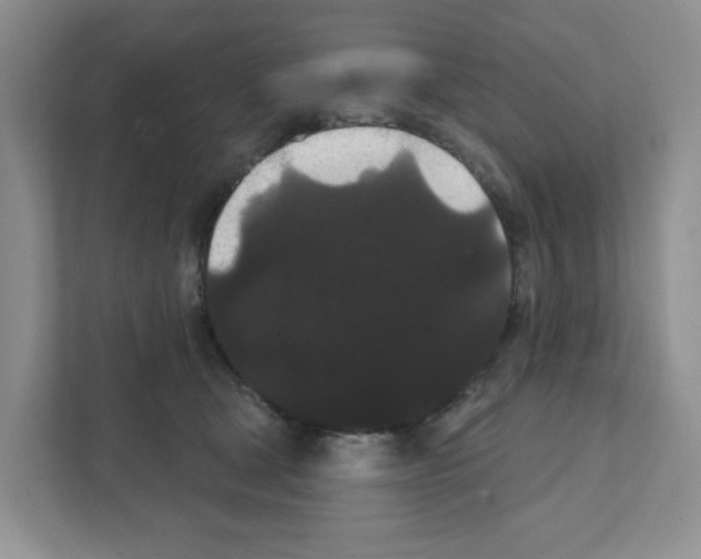 X0000111420465200908241135