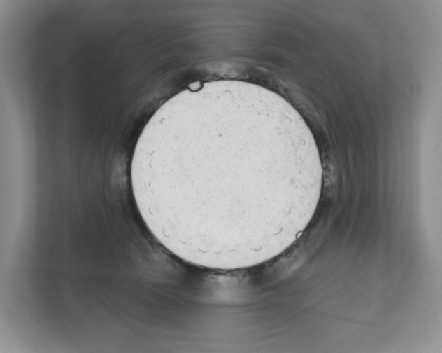 X0000111420466200908241135