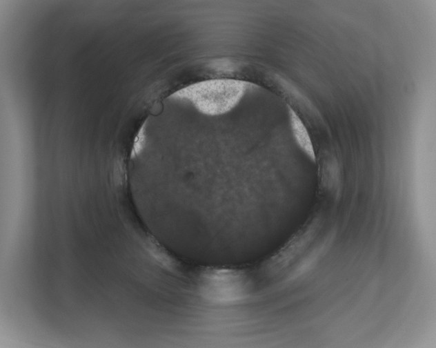 X0000111420467200908241135