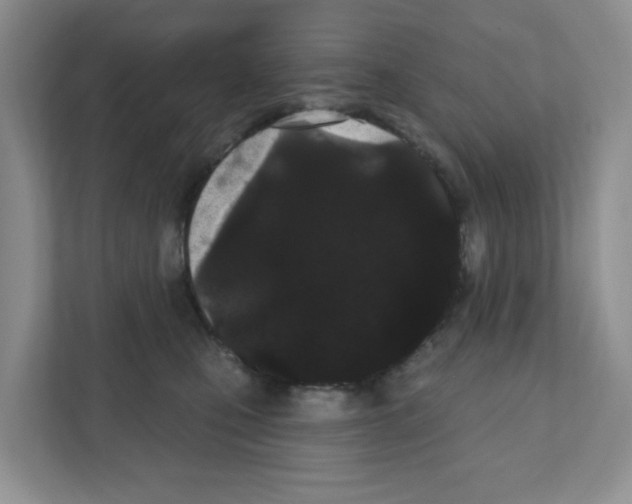 X0000111420471200908241135