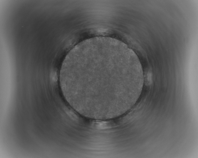 X0000111420472200908241135