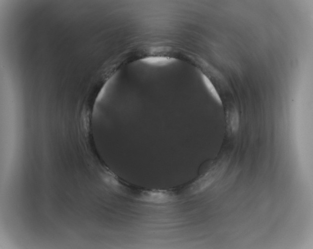 X0000111420475200908241135