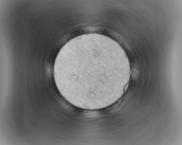 X0000111420476200908241135