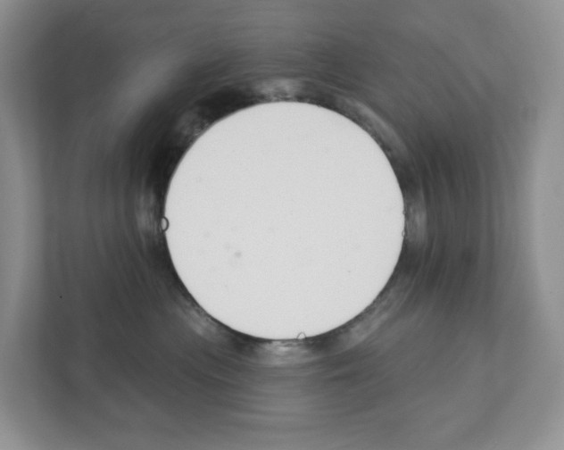 X0000111420477200908241135