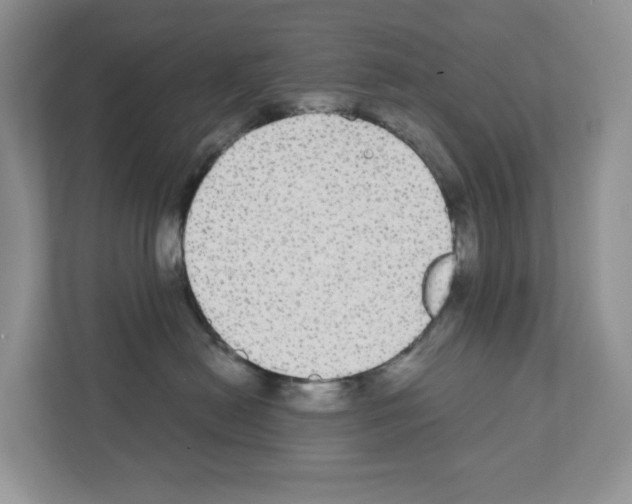 X0000111420478200908241136