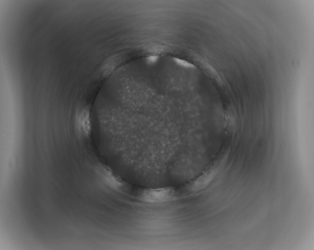 X0000111420479200908241136
