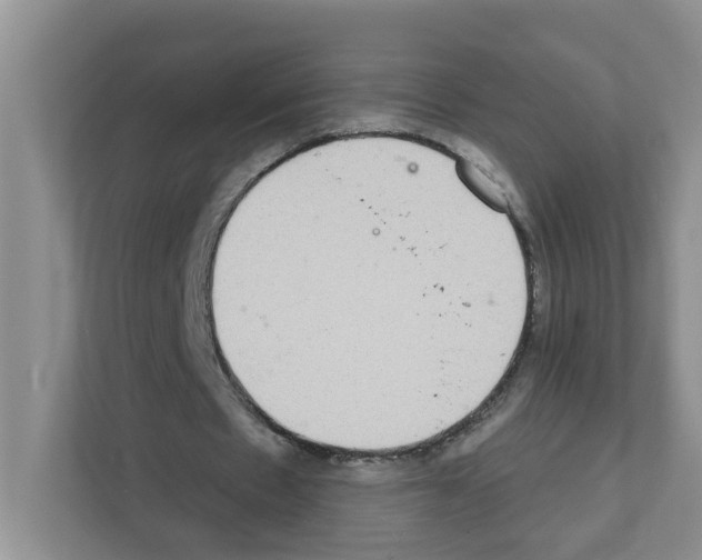 X0000111420481200908241135