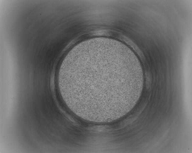 X0000111420482200908241135