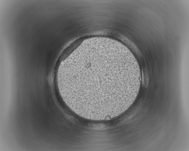 X0000111420483200908241135