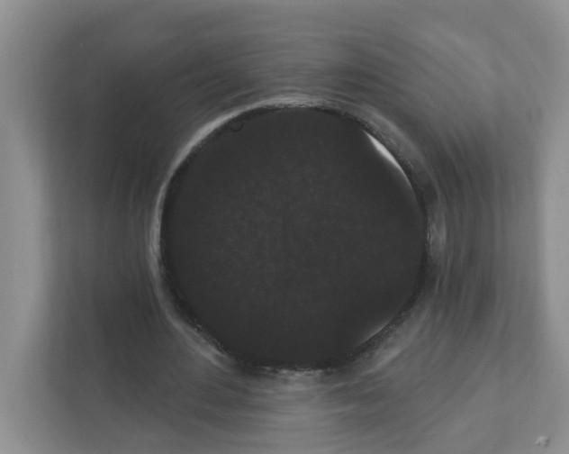 X0000111420484200908241135