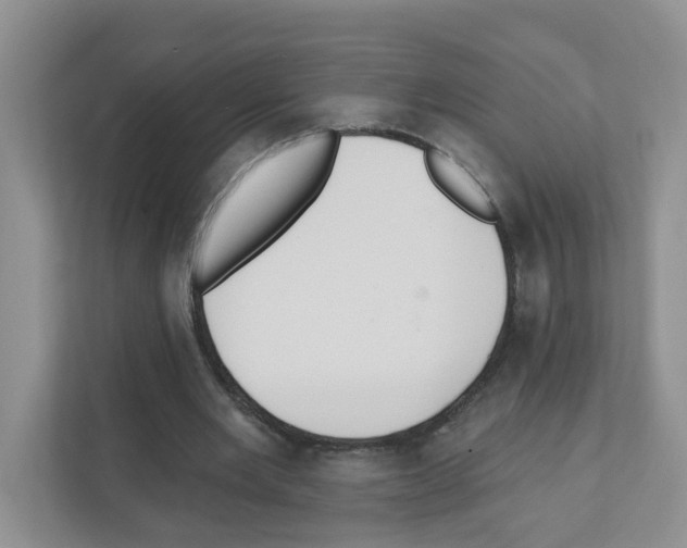 X0000111420485200908241135