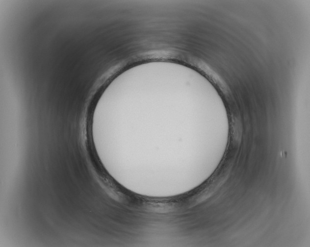 X0000111420486200908241135