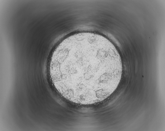 X0000111420487200908241135
