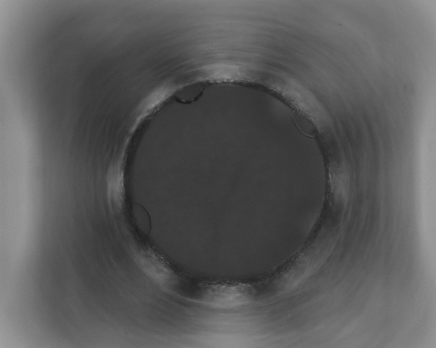 X0000111420488200908241135