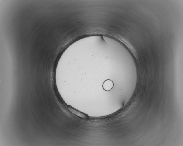 X0000111420489200908241135