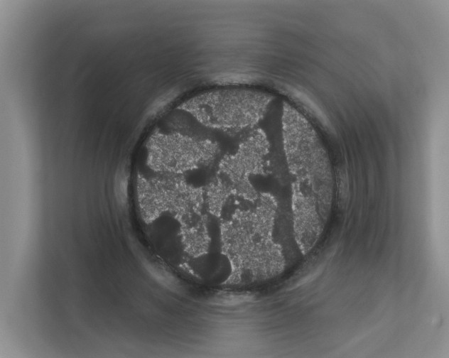 X0000111420491200908241135