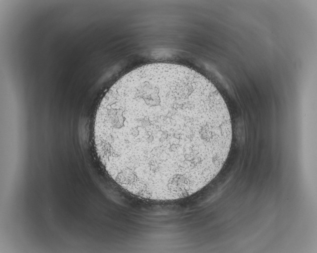 X0000111420495200908241135