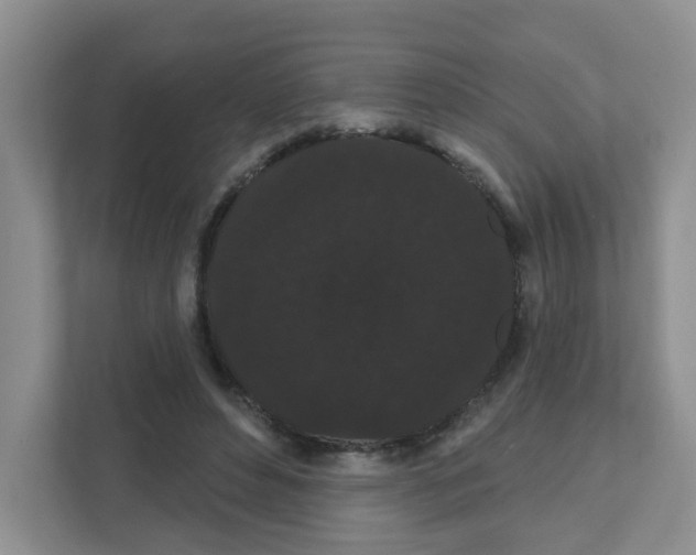 X0000111420496200908241135