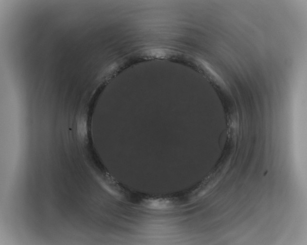 X0000111420500200908241135
