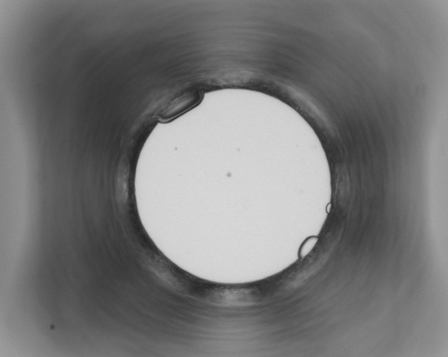 X0000111420501200908241135